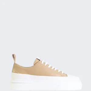 Asensyo Sneakers AS60